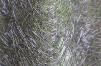 Fackley fibreglass roof work